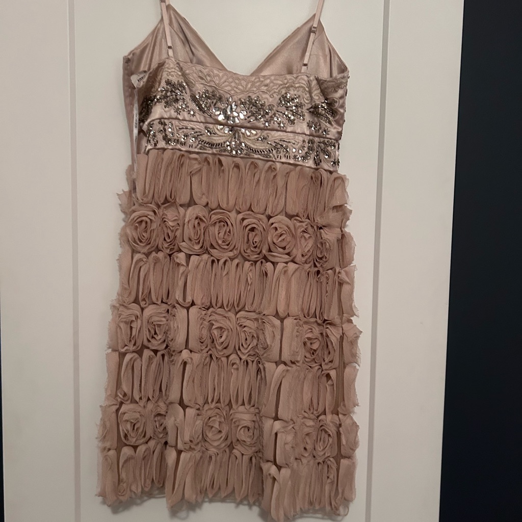 Sue Wong Dress Brand New With Tags Champagne Color Mini Dress